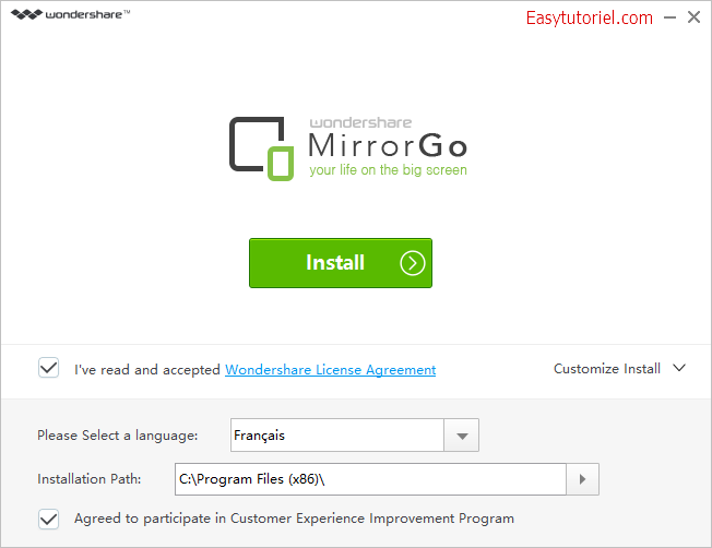 1 mirrorgo installation