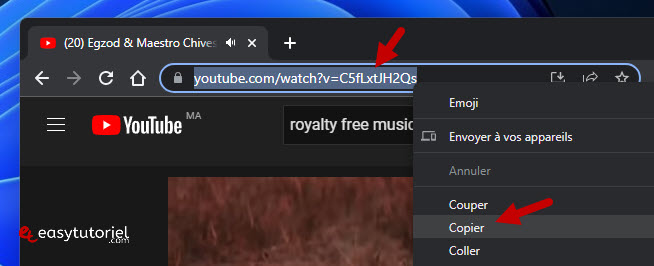 conversion audacity hauteur pitch 440 432 frequence musique chanson windows 1 youtube copier