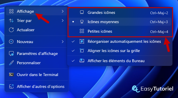 changer taille icones bureau menu