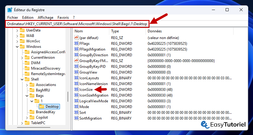 editeur du registre regedit hkey current user desktop iconsize