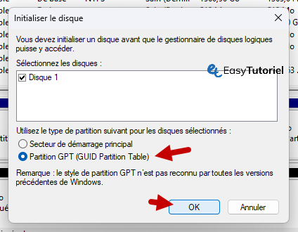 partition gpt ok