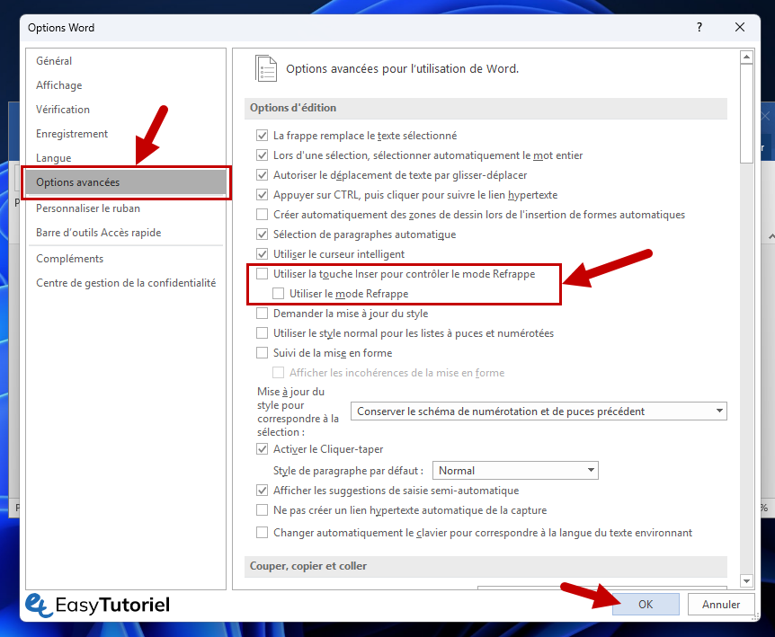word options avancees desactiver utiliser la touche inser pour controler le mode refrappe