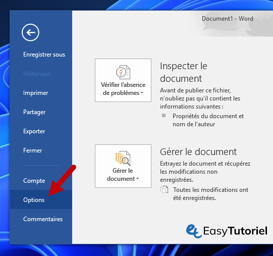 word options