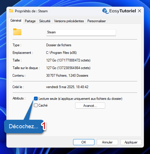 proprietes de steam lecture seule