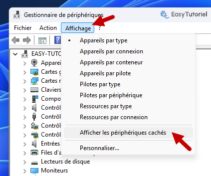 affichage afficher les peripheriques caches