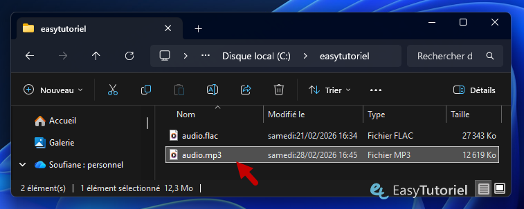 mp3 cree a partir du flac