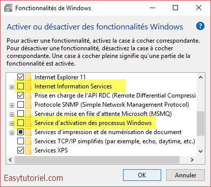 08 fonctionnalites windows iis service