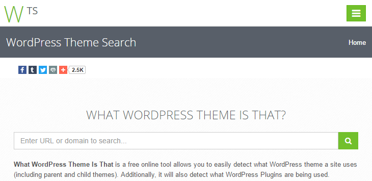What WordPress Theme