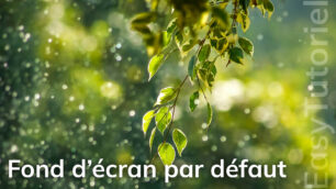 definir fond d ecran par defaut windows 10