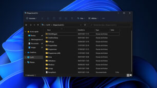 afficher elements masques fichiers dossiers caches windows 11 tutoriel