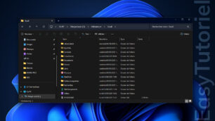 afficher les fichiers caches windows 11