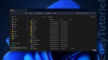 afficher les fichiers caches windows 11