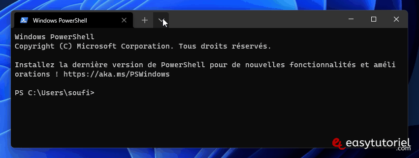 kali linux windows terminal animation