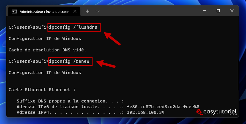 reparer le serveur dns ne repond pas dns windows 11 solution 9 ipconfig flushdns windows terminal