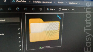 supprimer les 2 fleches sur dossier windows 11