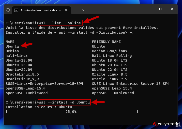 cmd wsl list online wsl install d Ubuntu
