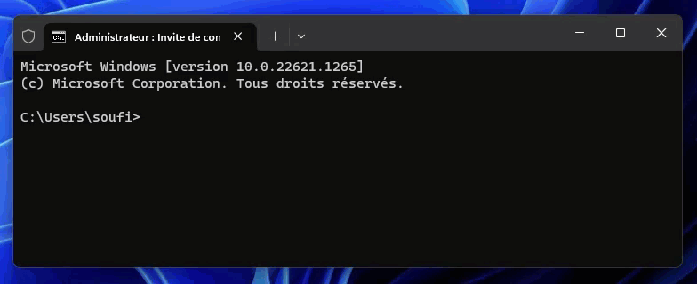 demo wsl 2 ubuntu windows 11 terminal