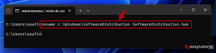 windows update 11 rename softwaredistribution windows