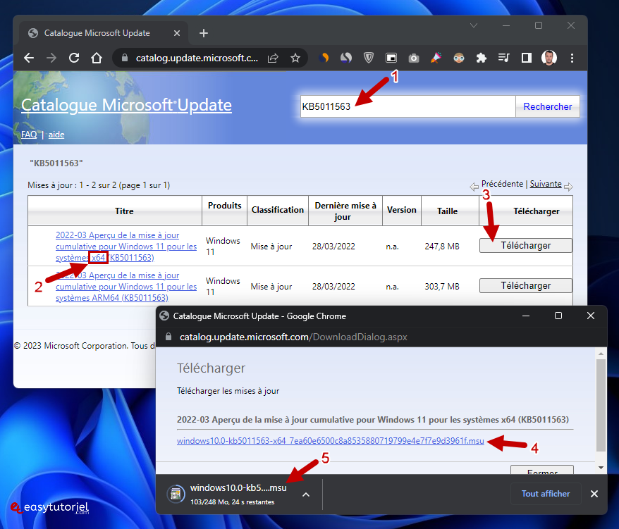 windows update 16 catalogue microsoft update
