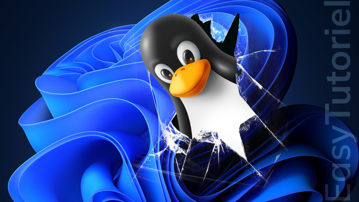 acceder aux partitions linux ext4 windows