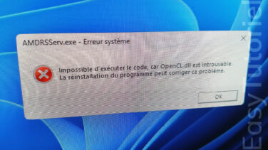 AMDRSServ erreur systeme solution