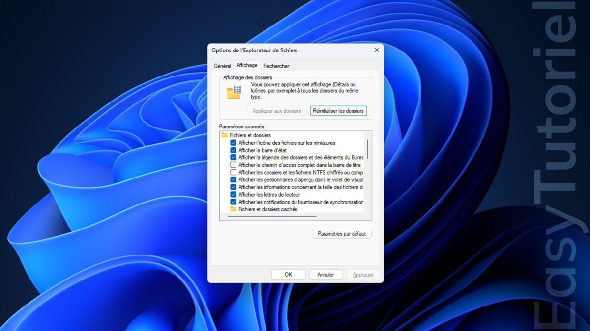 afficher options des dossiers windows 11