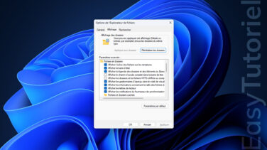 afficher options des dossiers windows 11