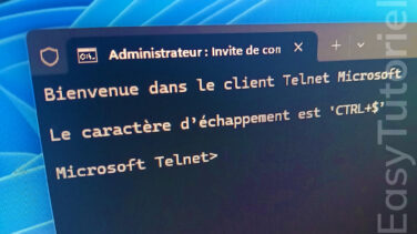 installer activer client telnet windows