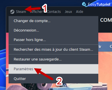 parametres steam