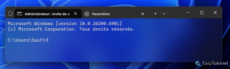 resultat terminal transparent