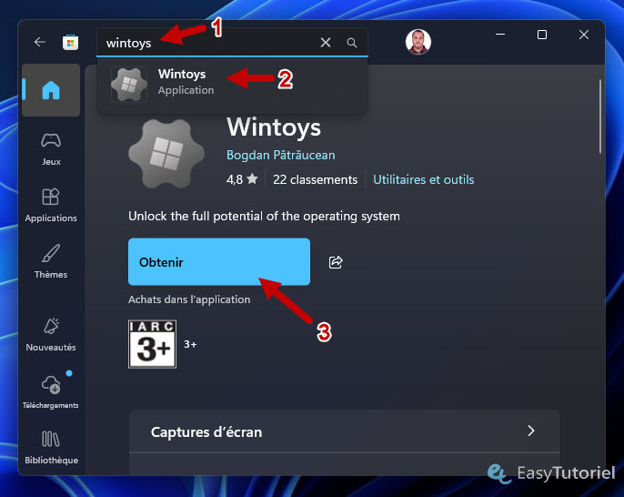 microsoft store wintoys obtenir
