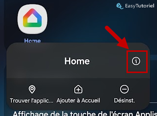 info google home
