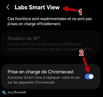 labs smart view prise en charge de chromecast
