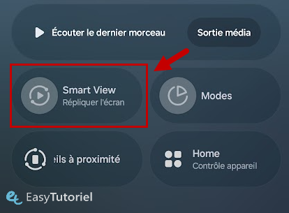 smart view